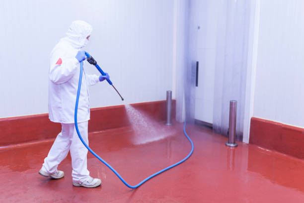 Pre-Holiday Cleaning in Union Springs, AL